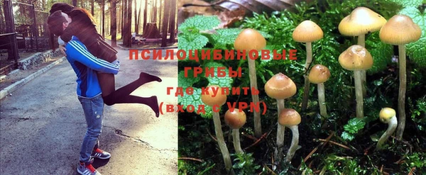 круглые Новодвинск