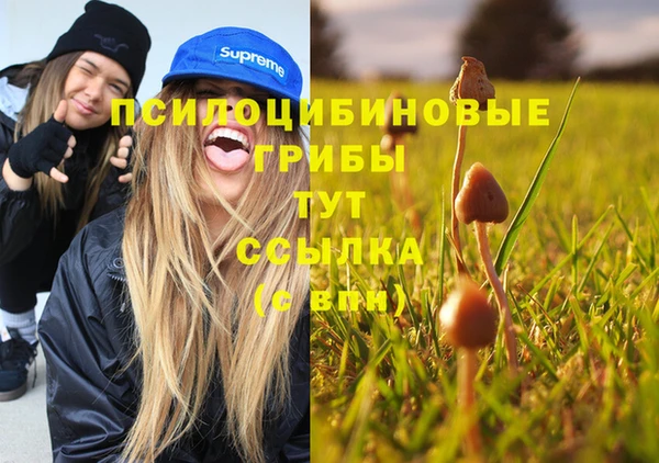 мяу мяу мука Новокубанск