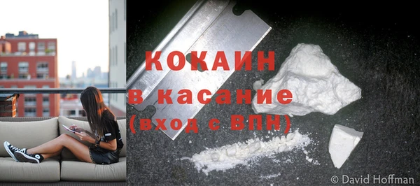 мяу мяу мука Новокубанск