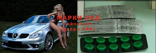 мяу мяу мука Новокубанск