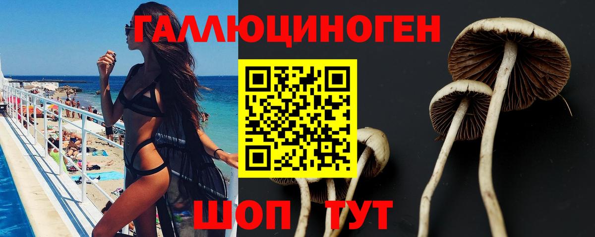 Сертолово  где купить   Вход с VPN  Галлюциногенные грибы прущие грибы 